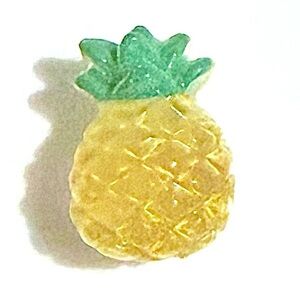 (10 for $16) Pineapple Resin Glossy Croc Charm Shoe Charm Disney Croc Charms
